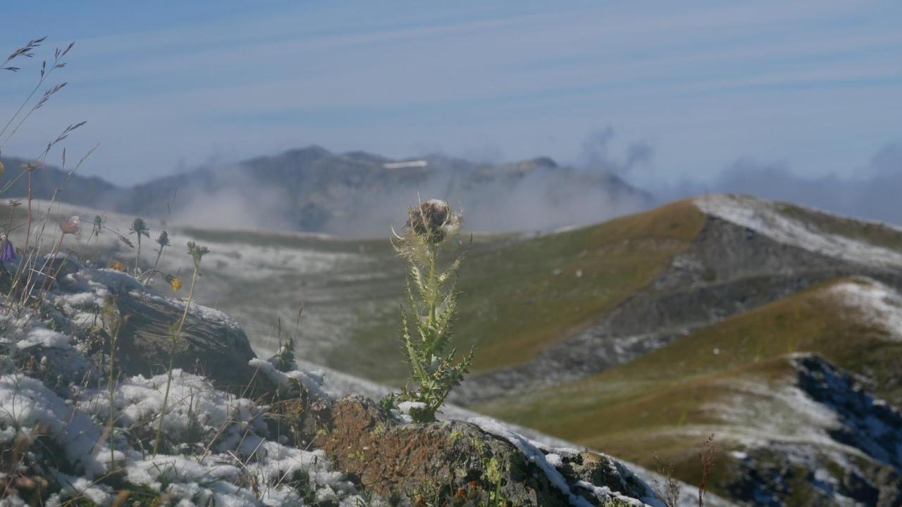 Apartmán Le Prince Des Cimes Les Arcs  Exteriér fotografie